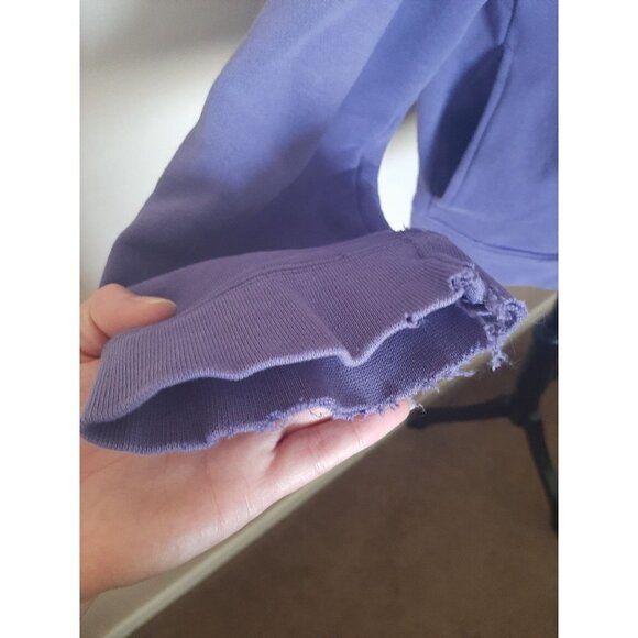 Disneyland Resort Purple Full Zipper Lightweight Jacket Size L Distressed Casual - Picture 5 of 11